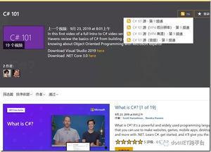 net视频,揭秘热门内容背后的故事与影响