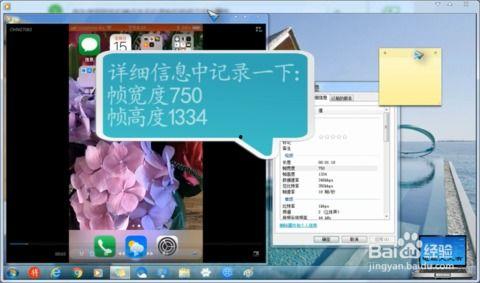 手机视频分辨率,揭秘清晰度背后的秘密