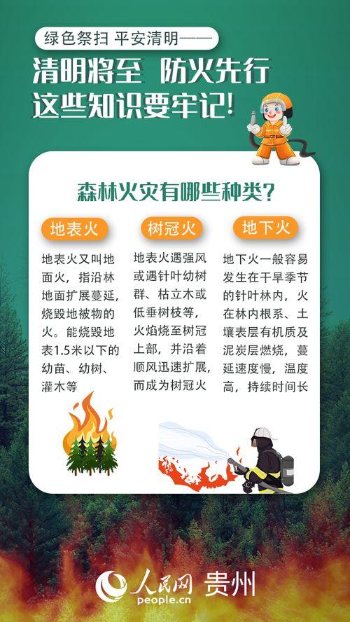 森林防火宣传视频,守护绿色家园——宣传视频深度解读
