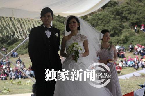 谢娜结婚视频,幸福瞬间回顾