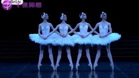 四小天鹅视频,舞动青春，绽放芭蕾魅力