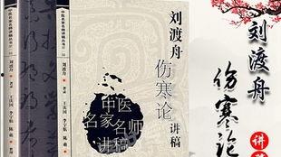 伤寒论视频,伤寒论核心内容精粹解析