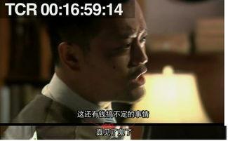 柳云龙视频,光影交织的演艺人生