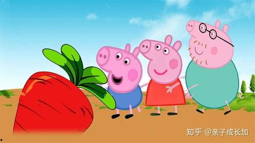 动画片小猪佩奇视频,欢乐成长记