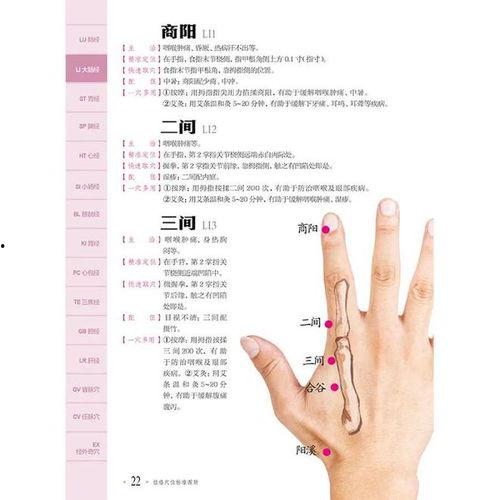 人体穴位视频,探寻养生保健的奥秘