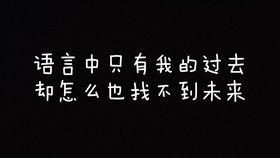 走月亮视频,走月亮视频深度解析