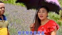 云南山歌视频下载,云南山歌视频下载之旅