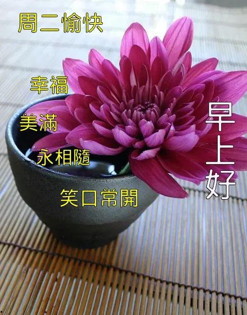 早上祝福图片大全,精选早上祝福图片大全