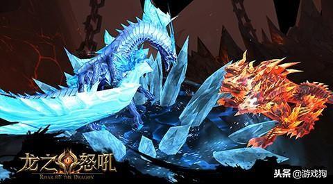 龙 视频,探寻中华传统文化之魂