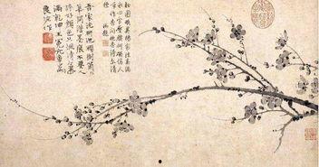 墨梅古诗视频,探寻诗意梅花之美