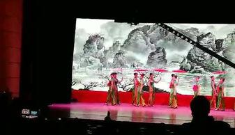 天下舞蹈视频,探寻舞蹈艺术的魅力与传承