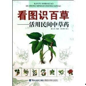 百草图片大全,自然界的绿色瑰宝