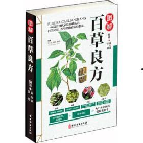 百草图片大全,自然界的绿色瑰宝
