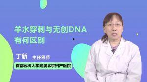 羊水穿刺视频,医学影像下的生命奥秘