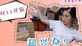 双十一快递视频,物流速度与效率的实时展现