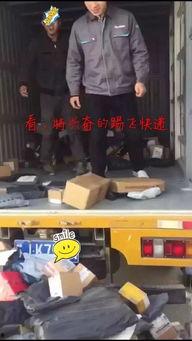 双十一快递视频,物流速度与效率的实时展现