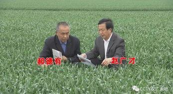 农广天地种植视频