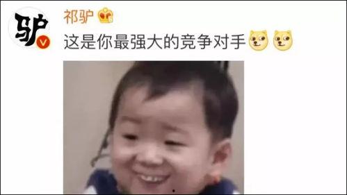 视频变成表情包,趣味横生新玩法