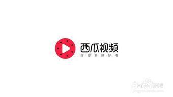 百度西瓜视频,探索短视频新潮流，百度旗下平台引领潮流风向标