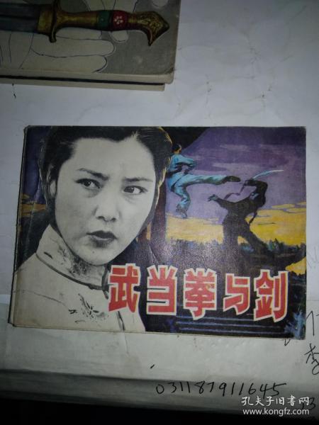 武当拳视频,传承千年的武术瑰宝