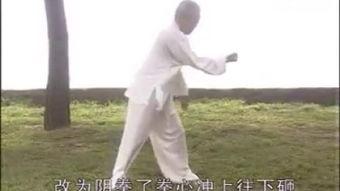 武当拳视频,传承千年的武术瑰宝