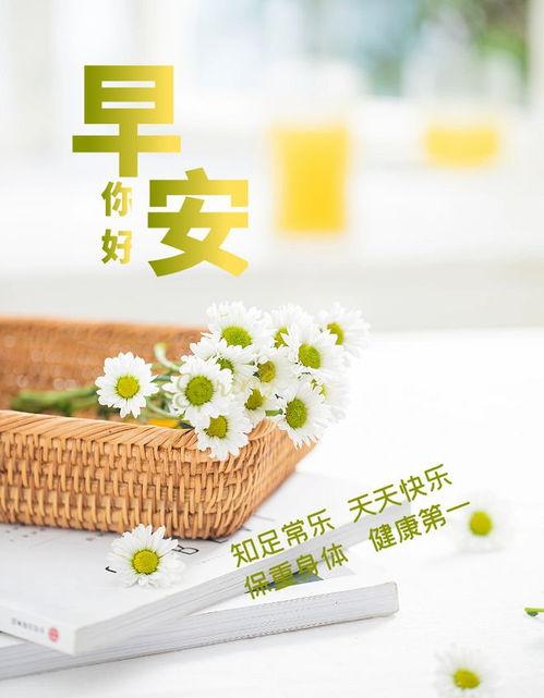 心善图片大全,心善图片大全温情回顾