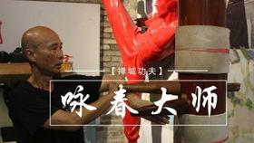 咏春拳视频教学,掌握实战技巧，领略南拳北腿精髓
