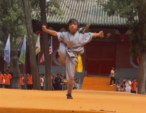 少林寺功夫视频,千年武术精髓的传承与演绎