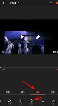录视频怎么变声,视频录制中的声音魔法转换