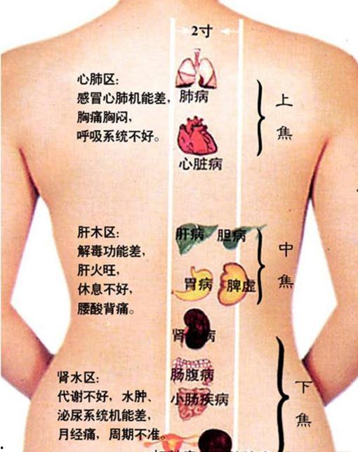 背部刮痧手法视频教学视频,轻松掌握健康养生之道