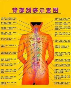 背部刮痧手法视频教学视频,轻松掌握健康养生之道