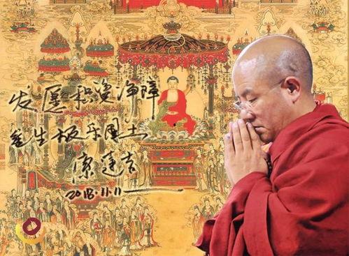 顶礼视频,揭秘佛教文化精髓，感受心灵洗礼之旅