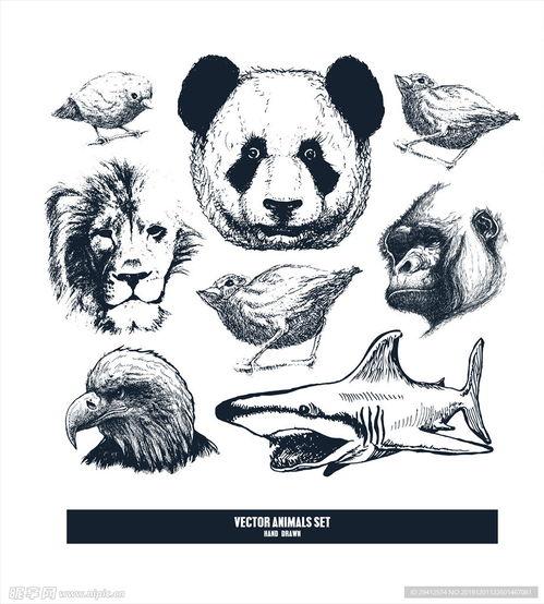 动物素描画图片大全,捕捉自然生灵的瞬间魅力