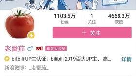 自宫视频,一场禁忌的视觉之旅