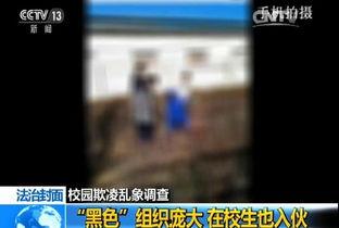 小色哥视频,揭秘生活趣味，畅享欢乐时光