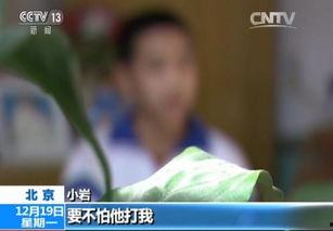 小色哥视频,揭秘生活趣味，畅享欢乐时光