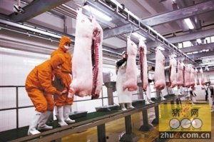 生猪屠宰视频,从养殖到餐桌的蜕变之旅