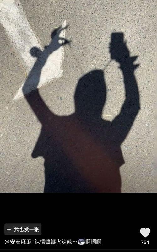 影子的视频
