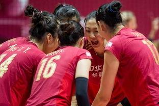 女排视频回放,回放中的精彩瞬间回顾