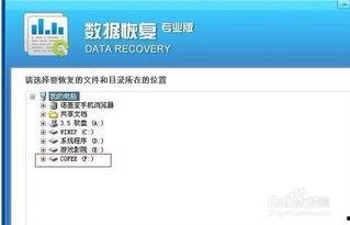 删掉的视频怎么恢复,从删掉视频片段中恢复的精彩瞬间回顾