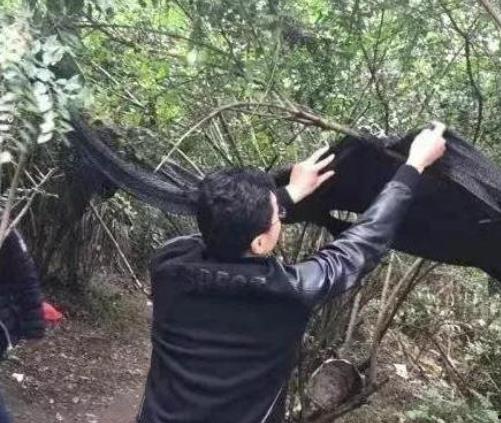 小树林卖淫视频,揭秘小树林卖淫视频的黑色秘密