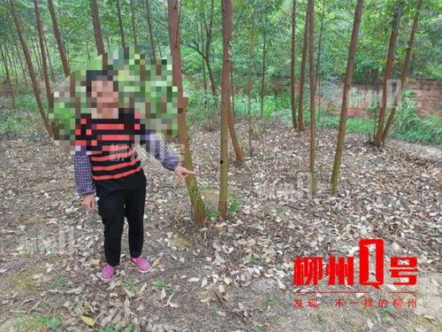 小树林卖淫视频,揭秘小树林卖淫视频的黑色秘密