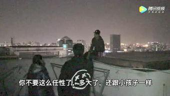 视频搬运工,高效内容传播的秘密武器