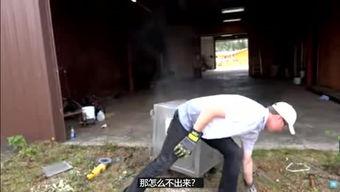 视频搬运工,高效内容传播的秘密武器