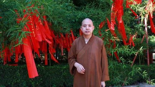 延参法师 视频,禅意人生，心灵修行之道