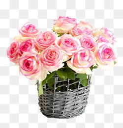 桌花图片大全,缤纷色彩与精致造型的完美融合