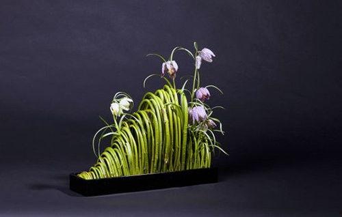 桌花图片大全,缤纷色彩与精致造型的完美融合