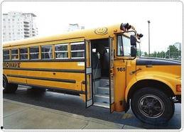 校车的视频,安全守护下的温馨日常