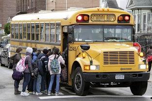 校车的视频,安全守护下的温馨日常