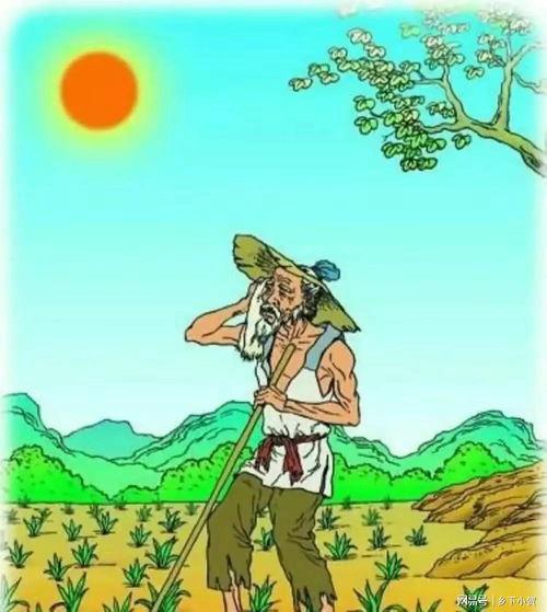 锄禾日当午视频,农耕生活的真实写照